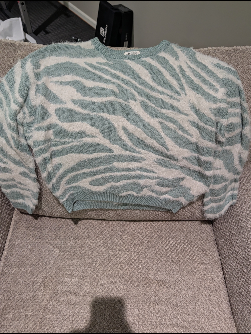 H&M Mint and Cream Zebra-Pattern Crewneck Sweater